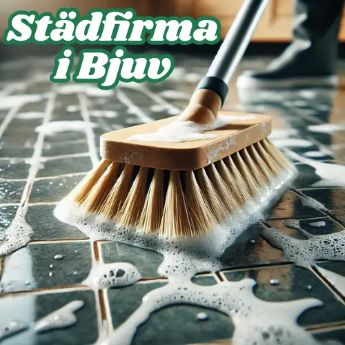 Städfirma Bjuv